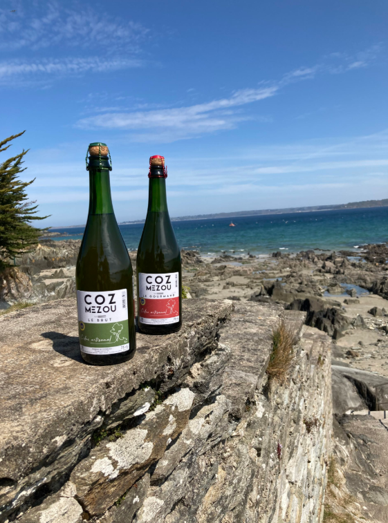 Capture d’écran 2025-11-22 170831