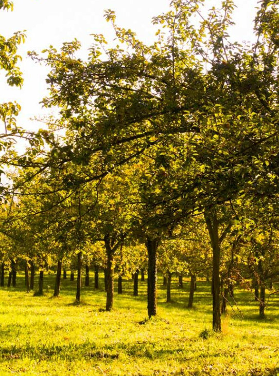 Capture d’écran 2025-11-22 170946